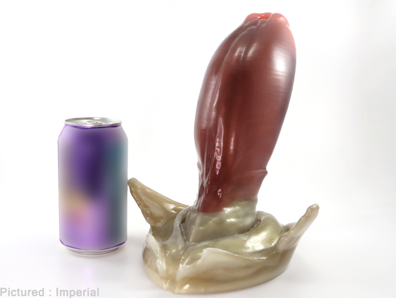 Image Slider Image